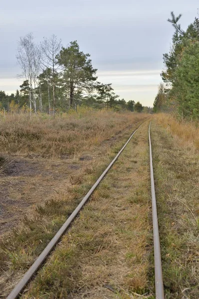 Tracks Narrow Gauge Peat Railway Tiste Bauernmoor Landkreis Rotenburg Lower — Stock Photo, Image