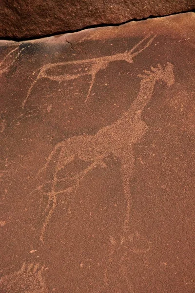 Arte Giraffa Antilope Sculture Rupestri Nella Regione Del Kunene Namibia — Foto Stock