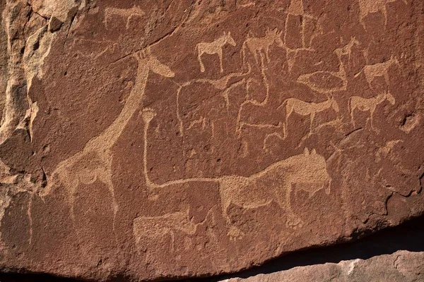 Sculture Rupestri Con Arte Del Popolo San Namibia Africa — Foto Stock