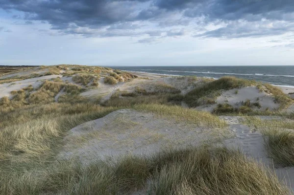 Vista Maestosa Delle Dune Lungo Mare Del Nord Ringkbing Fjord — Foto Stock