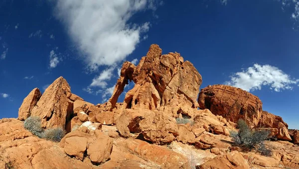 Röd Sandsten Formationer Elephant Rock Valley Fire — Stockfoto