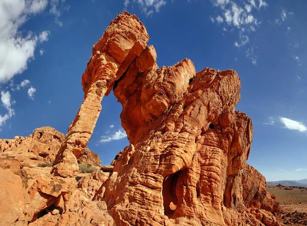 Rote Sandsteinformationen Elefantenfelsen Tal Des Feuers Nävada Vereinigte Staaten Nordamerika — Stockfoto