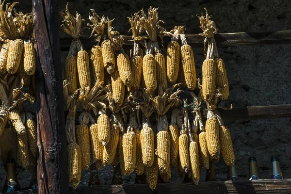 Dried Corn Autumnal Decoration Hanging Bales — Stock Photo, Image