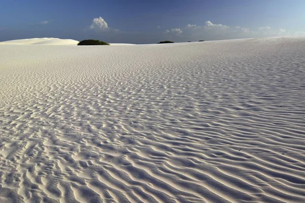 Desert Lenis Maranhenses Lenis Maranhenses Barreirinhas Maranho Brazil South America — Stock fotografie