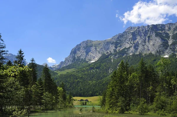 Reiter Alperna Den Skimrande Gröna Sjön Hintersee Framtill Ramsau Bei — Stockfoto