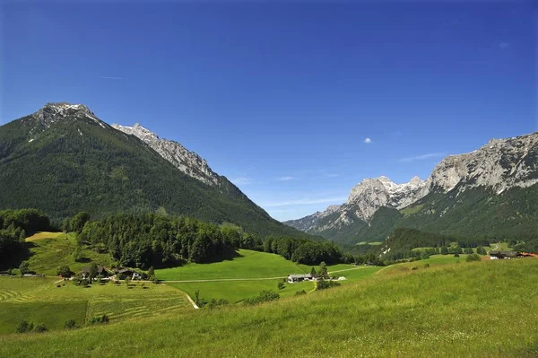 Reiter Alpe Derecha Hochkalter Izquierda Pastos Alpinos Frente Ramsau Bei —  Fotos de Stock