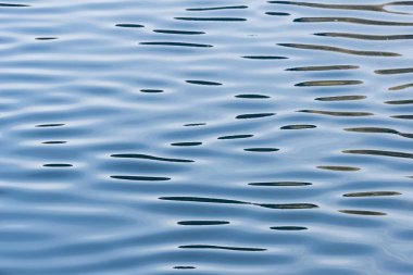 Reflections on a calm sea surface, closeup