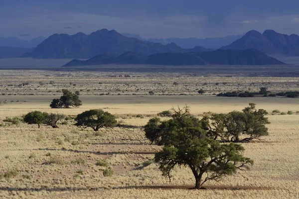 Vue Panoramique Sur Paysage Des Steppes Veldt Namib Hardap Region — Photo