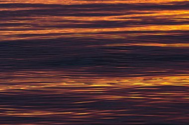 Waves in the evening light, Arctic Ocean, Spitsbergen Island, Svalbard Archipelago, Svalbard and Jan Mayen, Norway, Europe clipart