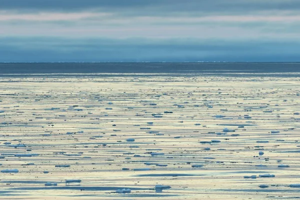 Buzlar Pack Buz Kuzey Buz Denizi Spitsbergen Adası Svalbard Adalar — Stok fotoğraf