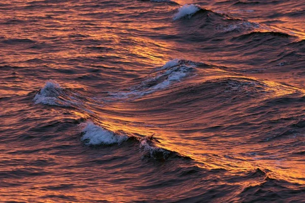 Κύματα Φως Βράδυ Αρκτικός Ωκεανός Νησί Spitsbergen Αρχιπέλαγος Σβάλμπαρντ Σβάλμπαρντ — Φωτογραφία Αρχείου