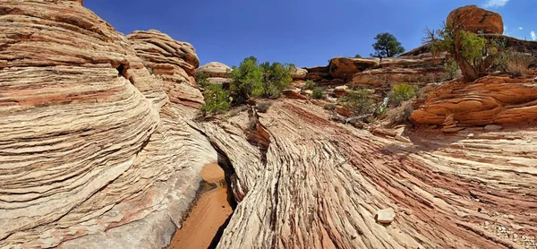 Schilderachtig Uitzicht Van Steen Woestijn Landschap Naalden Canyonlands National Park — Stockfoto