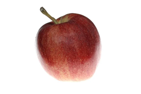 Manzana Roja Malus Vista Cerca — Foto de Stock