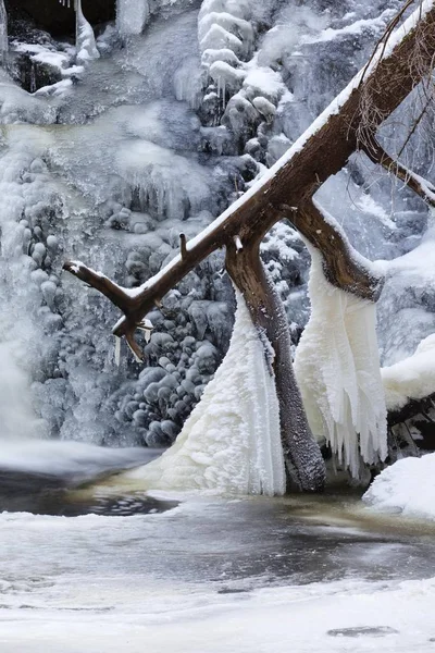 Cascada Con Hielo Falkau Selva Negra Baden Wuerttemberg Alemania Europa — Foto de Stock