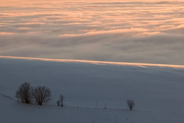 Winterlandschap Met Avond Licht Mist Zwarte Woud Baden Wuerttemberg Duitsland — Stockfoto