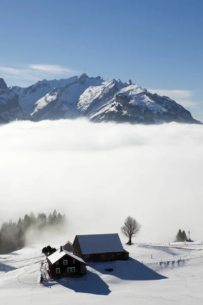 Alpstein Maciço Com Saentis Pasto Montanha Coberto Neve Alpes Appenzell — Fotografia de Stock