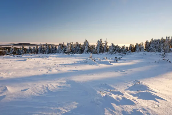 北部黑森林的冬季景观 巴登符腾堡州 — 图库照片