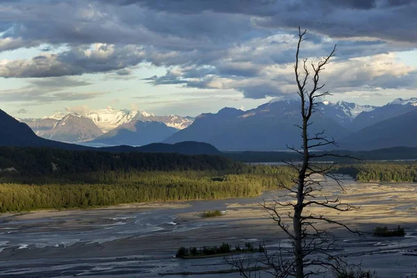 Vue Panoramique Sur Rivière Matanuska Près Palmer Alaska États Unis — Photo