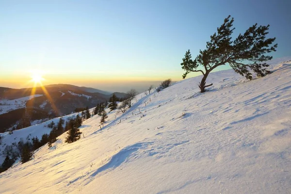 Afstand Van Uitzicht Zwitserse Alpen Het Avondlicht Zonsondergang Van Belchen — Stockfoto