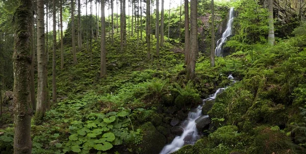 Мальовничий Вид Водоспад Burgbach Поблизу Schapbach Європі Чорний Ліс Баден — стокове фото