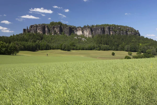 Malerischer Blick Auf Den Pfaffenstein Tafelberg Elbsandsteingebirge Sachsen Deutschland Europa — Stockfoto