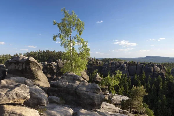 Blick Von Den Karlsfelsen Der Nähe Der Affensteine Elbsandsteingebirge Sachsen — Stockfoto