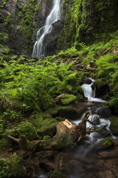 Burgbachwasserfall Schapbach Schwarzwald Baden Württemberg Deutschland Europa — Stockfoto