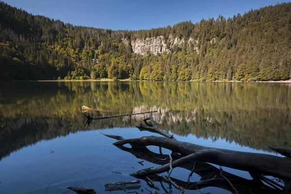 Skogen Kommer Till Uttryck Sjön Feldsee Feldberg Schwarzwald Bergskedja Baden — Stockfoto