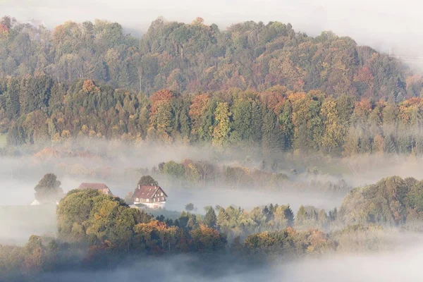 Malerischer Blick Auf Hochnebel Herbst Rorschacherberg Bodensee Schweiz Europa — Stockfoto