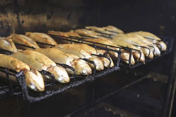 Trouts Being Smoked Smoker Smokehouse Bergisches Land Germany Europe — 스톡 사진