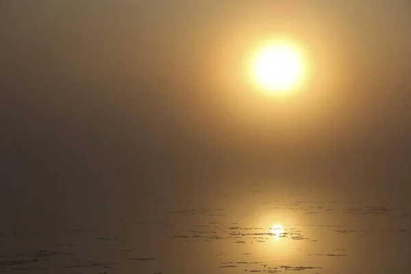 Kötü Buchau Baden Wurttemberg Almanya Europe Yakınındaki Sisli Federsee Gölü — Stok fotoğraf