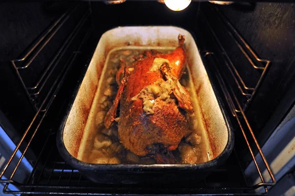 Cooked roast duck with apples, in the oven