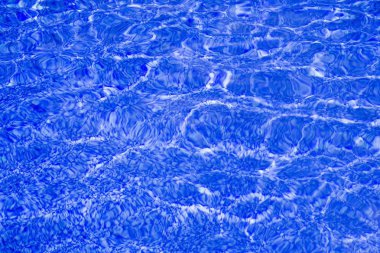 Blurry swimming pool water surface clipart