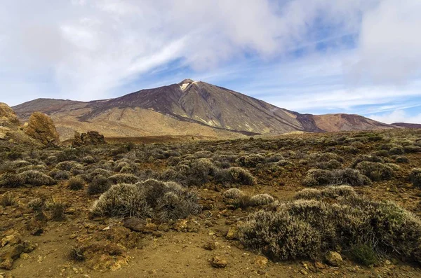 Paesaggio Lavico Nel Parco Nazionale Del Teide Patrimonio Naturale Mondiale — Foto Stock