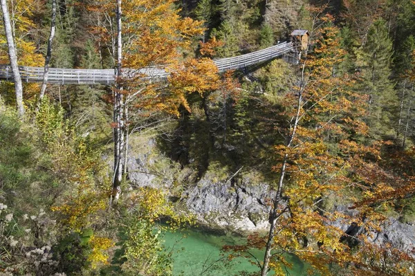 Rope Bridge Plant Bridge Wasserlochklamm Gorge Palfau Gesuse National Park — Stock Photo, Image