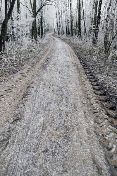 Dirt road with hoar frost, Waschberg, Leitzersdorf,