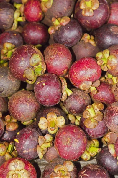 Purple Mangosteens Garcinia Mangostana Koop Een Markt Chiang Mai Thailand — Stockfoto