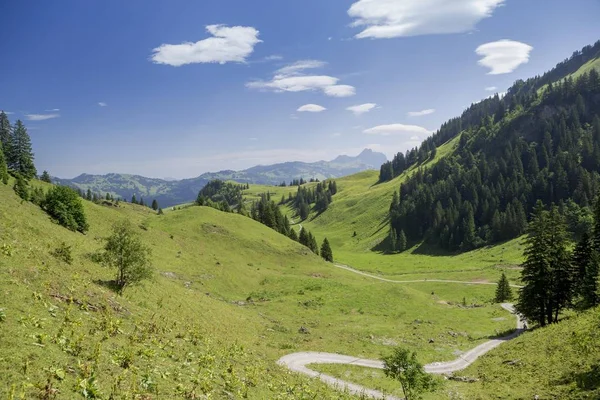 Stig Som Leder Över Frodiga Ängar Frontal Valley Stoos Morschach — Stockfoto