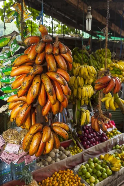 Puesto Frutas Plátano Rojo Frente Región Ambulugala Utuwana Sri Lanka — Foto de Stock