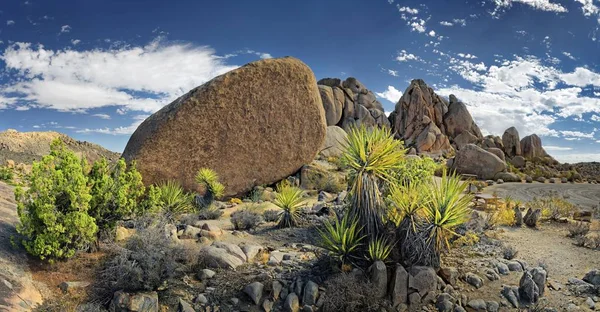 Enormi Rocce Granitiche Split Rocks Verde Mojave Yucca Pugnale Spagnolo — Foto Stock