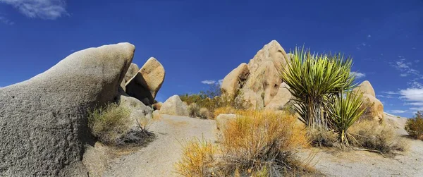 Enormi Rocce Granitiche Split Rocks Verde Mojave Yucca Pugnale Spagnolo — Foto Stock