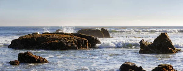 Rocks in the surf with brown algae, Pacific Coast, Cambria, California, United States, North America