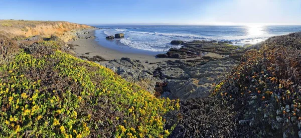 Spiaggia Del Pacifico Ricoperta Muschi Licheni Vicino Cambria California Stati — Foto Stock