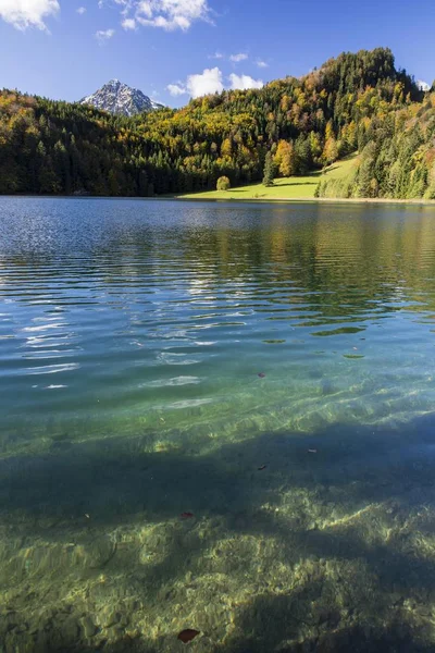 Alatsee Sjön Hösten Nära Fussen Östra Allgau Bayern Tyskland Europa — Stockfoto
