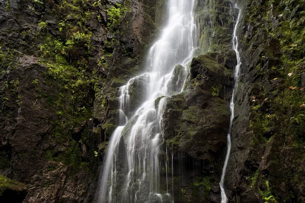 Waterfall in the forest, Burgbach waterfall near Schapbach, Black Forest, Baden-Wurttemberg, Germany, Europe