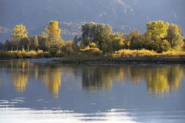 Podzimní Nálada Výhledem Hory Forggensee Lake Krátkozraksen East Allgau Bavorsko — Stock fotografie