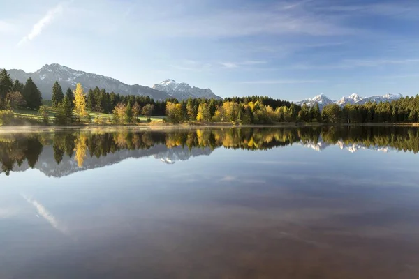 Hegratsrieder Sjön Höstmorgon Bayern Tyskland Europa — Stockfoto