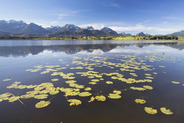 Scenic View Hopfensee Lake Fssen East Allgu Bavaria Germany Europe — Stock Photo, Image