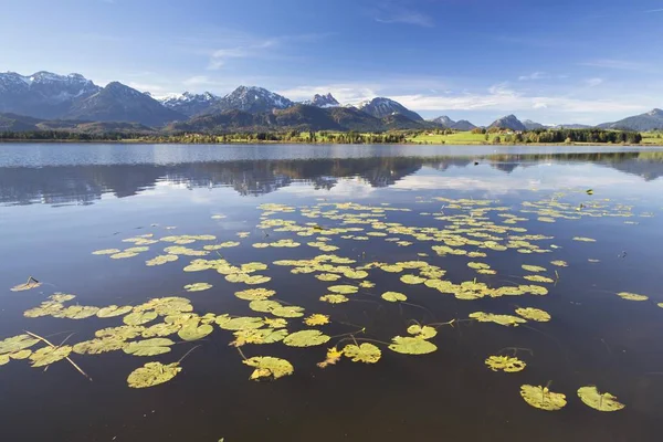 Naturskön Utsikt Över Sjön Hopfensee Nära Fssen Östra Allgu Bayern — Stockfoto