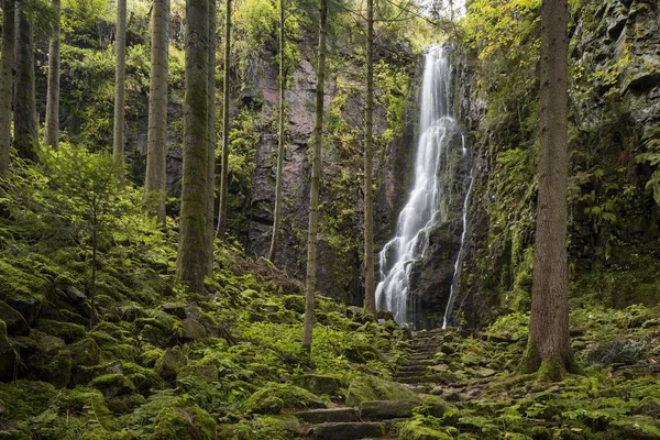 Waterfall Forest Burgbach Waterfall Schapbach Black Forest Baden Wurttemberg Germany — Stock Photo, Image